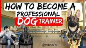 How to become a professional dog trainer? - Everything you need to know to become a dog trainer-