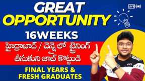 16 Weeks Training + 10 guaranteed Job Interviews | How to get top jobs in MNC's | @V the Techee