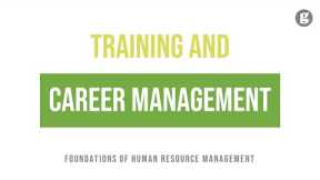 Training, Development, and Career Management