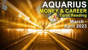 AQUARIUS MONEY & CAREER TAROT READING REASONS TO CELEBRATE AQUARIUS: A MESSAGE March to April 2023