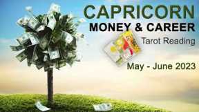 CAPRICORN MONEY & CAREER TAROT READING A BLESSING IN DISGUISE: A DIFFERENT PATH May to June 2023