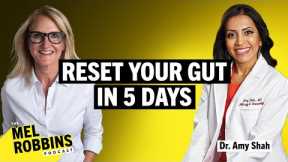 Reset Your Gut in 5 Days: A Medical Doctor’s Step-by-Step Protocol to Transform Your Health