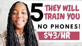 5 Paid Training Work from Home Jobs 2024| Earn $43/hr