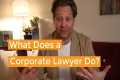 What Does a Corporate Lawyer Do & 
