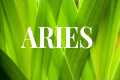 ✨ARIES BIG CHANGES IN YOUR FINANCIAL