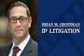 IP Litigation | Brian Grossman