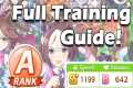 Uma Musume! Full Training guide!