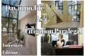 Day in the Life of a Litigation