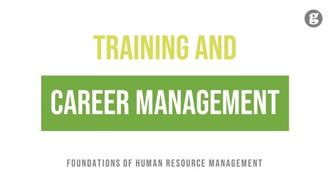 Training, Development, and Career Management
