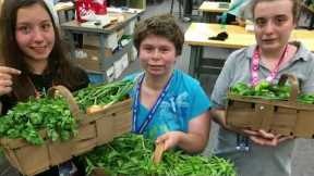 Job Training Program