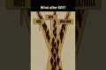 Non-Clinical Career After BDS |